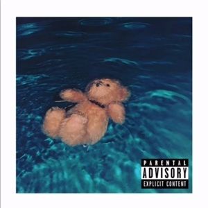 Meet your Posher, Adamarys